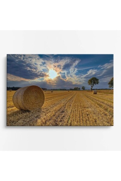 OEM Tablou pe pânză premium WOWCanvas, Pace în câmpuri, 120 x 80 cm