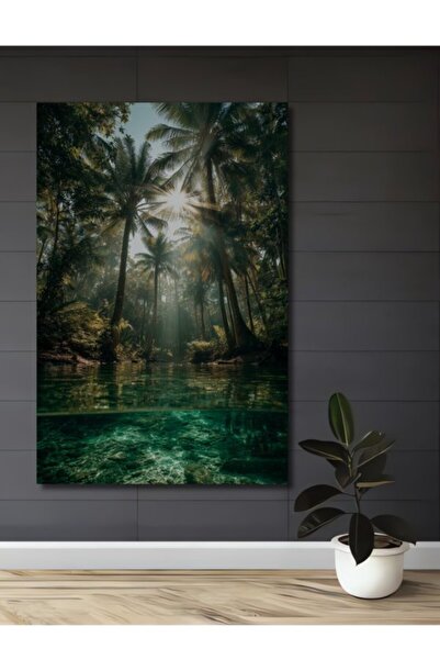 Teona Ahşap Τροπικός Παράδεισος στο Φως της Ημέρας, Φοίνικες και Καθαρό Νερό,...