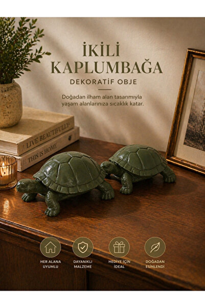 Store Kaplumbağ Dekor