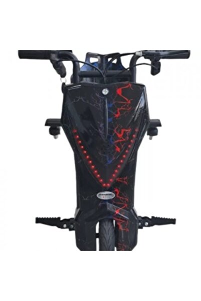 E-ANAMAG Tricicleta electrica drift Hausberg HB-KD05NG, 8 inch, motor 250-300...