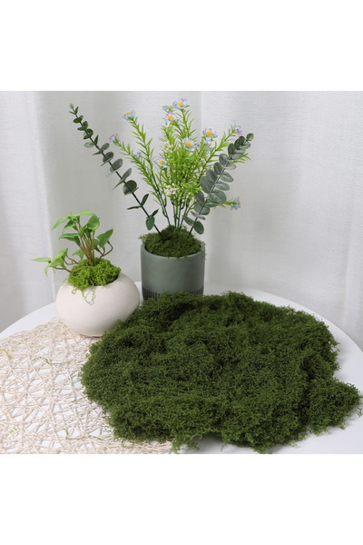 Choice3 A-30X60 DIY Crafts Green Fake Moss - Faux Preserved Artificial Moss f...