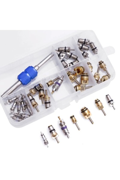 Choice 40 قطعة من قلوب صمامات إصلاح مكيف السيارة R12 R134a، قلوب صمامات إطارا...