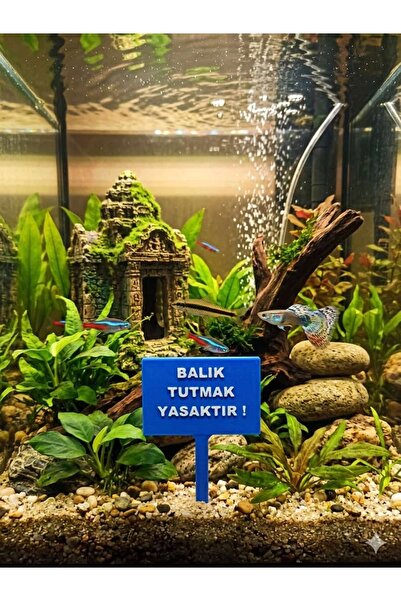 Dekor Balık Tutmak Yasaktır akvaryum