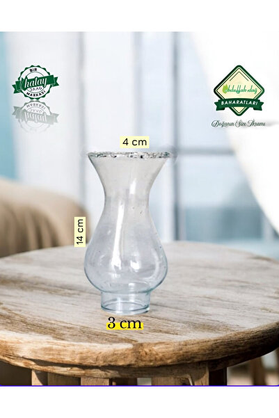 Empressco Hatay Yöresel Nostalji Otantik Gaz Lambası Yedek Camı Yedek Cam 3 N...