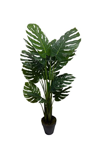 ŞA-DAL STORE Yapay Deve Tabanı Ağacı (Monstera Ağacı) Gerçek Dokulu 165 Cm