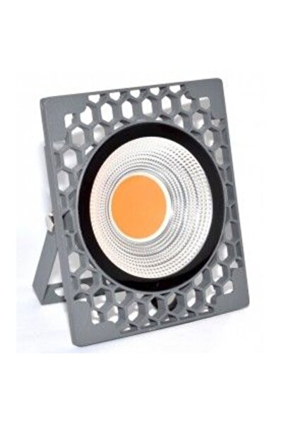 Bibilel Κόκκινος Προβολέας LED COB 50W