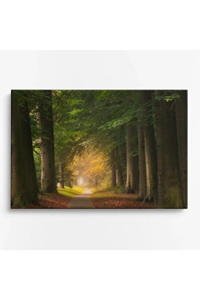 OEM Tablou pe pânză Peisaje WOWCanvas, Pădure cu alee îngustă și copaci verzi...