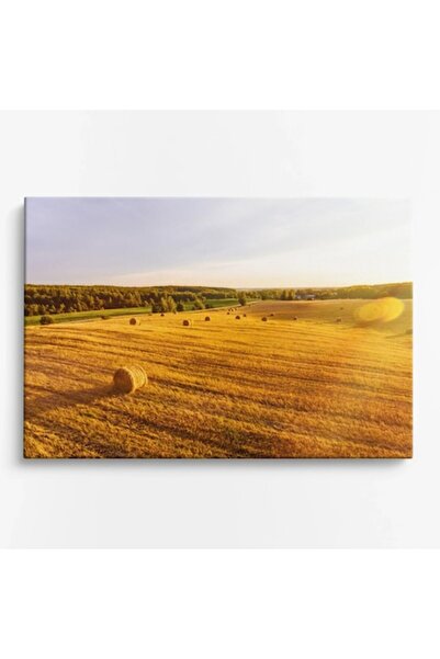 OEM Tablou pe pânză Peisaje WOWCanvas, Câmp cu fâșii aurii de grâu, 150 x 100 cm
