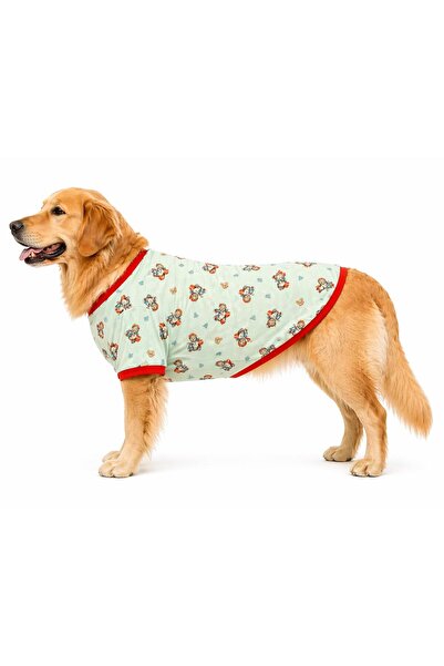 DOGİ&DOG Büyük Irk Green Sweat Bear Yazlık Köpek T-Shirt Köpek Kıyafeti (11-45KG)