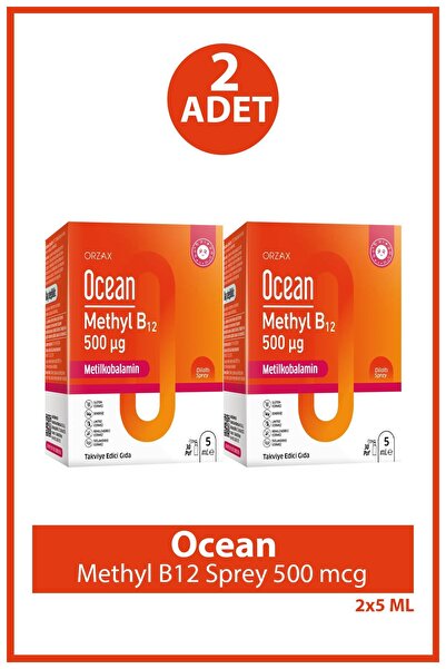 Ocean Methyl B12 Sprey 500 mcg 5 ml 2 Adet