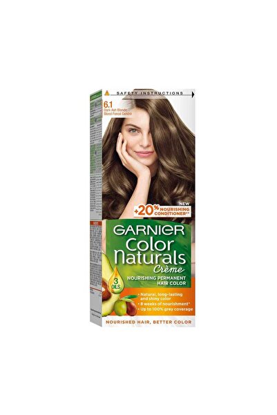 Garnier Hair Color Dark Ash Blonde 6.1