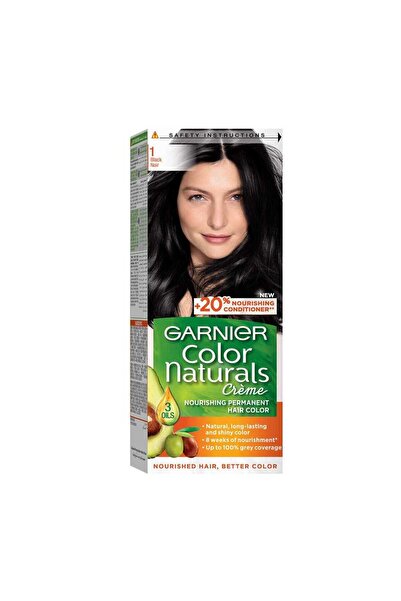 Garnier Hair Color Black 1