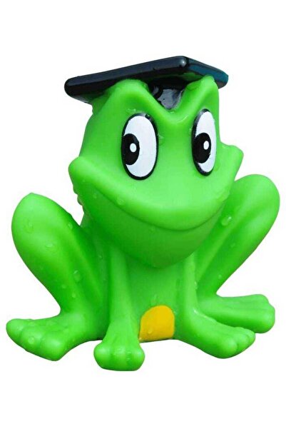 Freds Swim Academy Freds Freddy Squeaking Frog 1 Pc