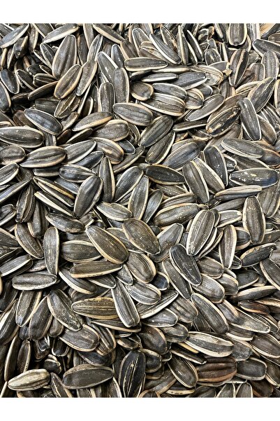 Elit Kuruyemiş Tuzsuz Kavrulmuş | Dakota | 1Kg 3Al2Öde | Ay Çekirdeği | Yerli...