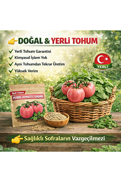 okacih Pembe Domates Tohumu Yerli Üretim – Hızlı Çimlenen, Saksı & Bahçe İçin...
