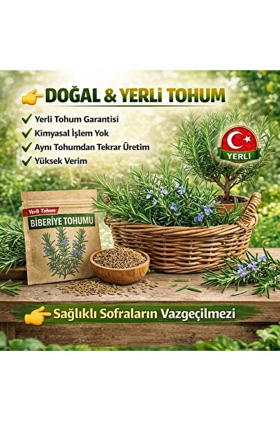 okacih Biberiye Tohumu Yerli Üretim – Hızlı Çimlenen 6-12 Gün, Saksı & Bahçe ...