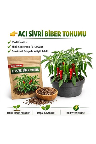 okacih Acı Sivri Biber Tohumu Yerli Üretim – Hızlı Çimlenen 6-12 Gün, Saksı &...