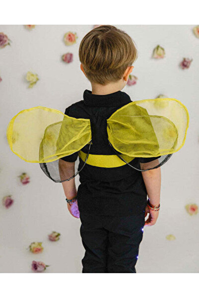fustite cu luminite Μελισσοκομικό Γιλέκο για Αγόρια, για Παράσταση Νηπιαγωγεί...