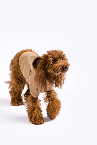Maura Köpek Hoodie