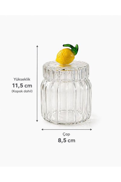 morponi Set of 2 Borosilicate Glass Fruit Series Jars with Optical Lids 200 ml (Rose)