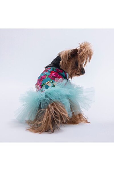 Pawstar Green Wildflowers Green Floral Pattern Cat Dog Dress - Cat Dog Outfit