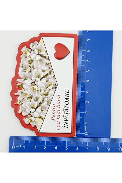 Flippy Μαγνήτης για την Ημέρα του Δασκάλου, Αναστρέψιμος, Σετ 24 τεμαχίων, Μα...