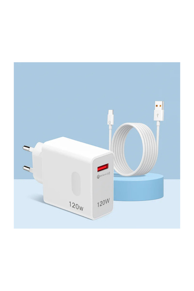 OEM Γρήγορος Ενσύρματος Φορτιστής 120W, ΤΥΠΟΥ C