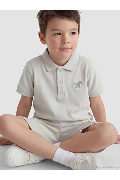 LC Waikiki Γκρι μπλουζάκι και σορτς για αγόρια με στάμπα δεινοσαύρων