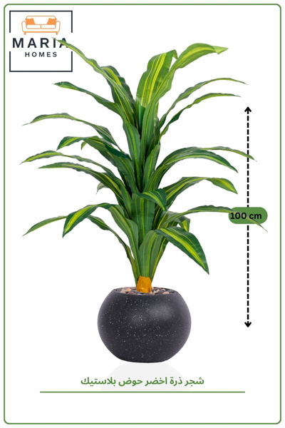 MARIA HOMES Artificial Dracaena Plant 100 CM with Modern Plastic Pot Indoor D...