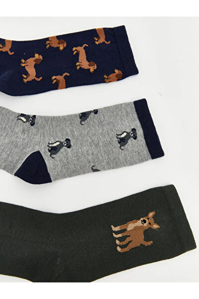 LC Waikiki Ανδρικές κάλτσες με μικτά σχέδια 5 τεμαχίων