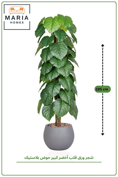 MARIA HOMES Artificial Heart Leaf Tree with with Pot – 195 cm Tall Indoor Dec...