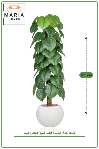 MARIA HOMES Artificial Heart Leaf Tree with with Pot – 195 cm Tall Indoor Dec...