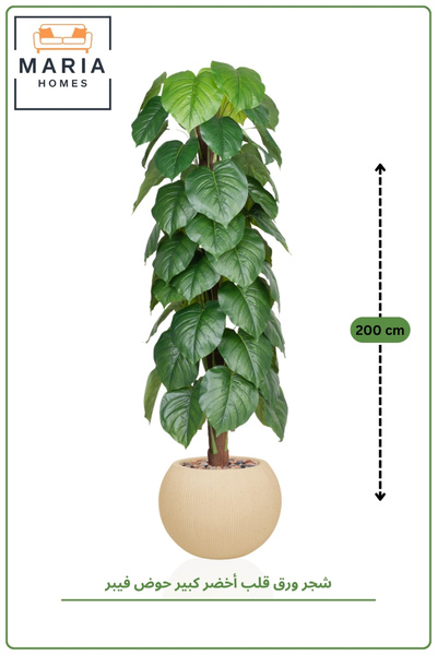 MARIA HOMES Artificial Heart Leaf Tree with with Pot – 195 cm Tall Indoor Dec...