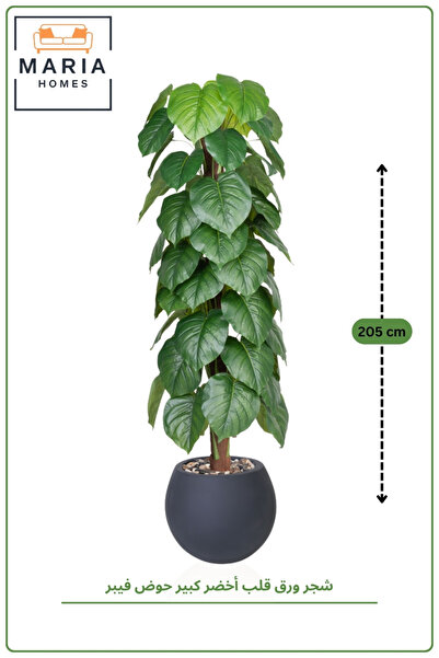 MARIA HOMES Artificial Heart Leaf Tree with Fiber Pot – 205 cm Tall Indoor De...