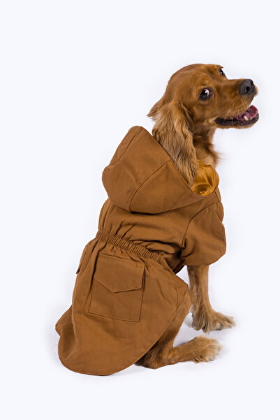GotStyle Gabardin Köpek Mont