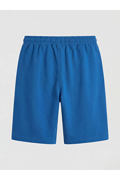 LC Waikiki Ανδρικό σορτς μπλε Standard Fit