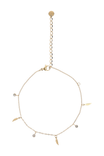 IZIA Αλυσίδα αστραγάλου