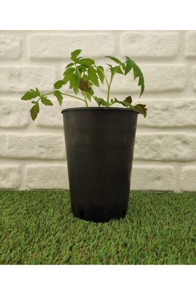 Asenya Üretim Saksısı 100 Adet 2 Lt Siyah Üretim Saksısı Yuvarlak Saksı Plast...