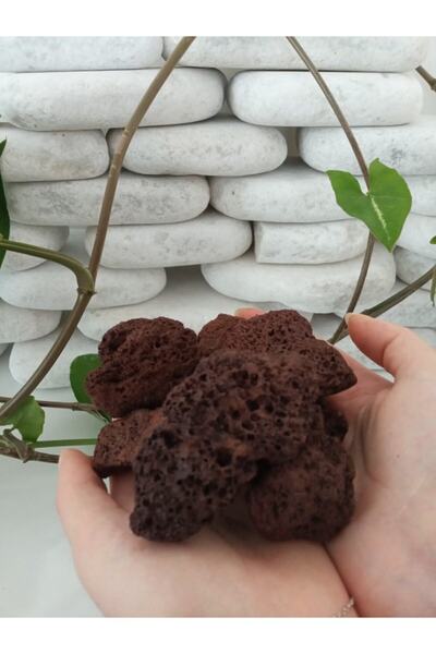 Asenya Akvaryum Taşı 1 Kg 5-10 Cm Akvaryum Dekor Taşı Teraryum Taşı Akvaryum ...