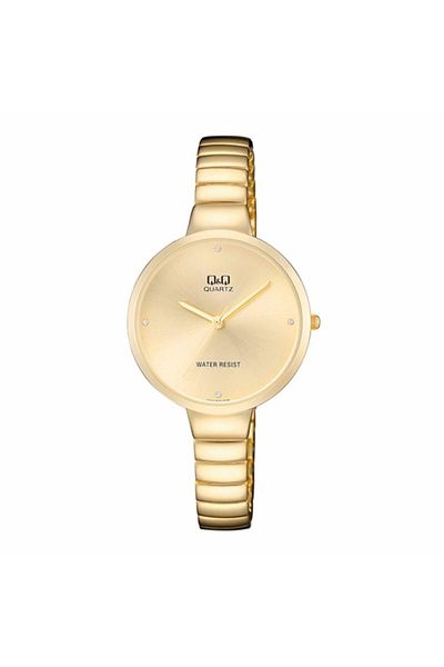 Q&Q Women's Wristwatch F611j010y