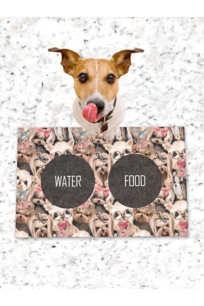 Patipeti طعام للكلاب والقطط وقاعدة تدريب مع قاعدة مضادة للانزلاق