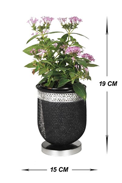 VENON Home Menekşe Saksı 15 Lik Siyah Silver