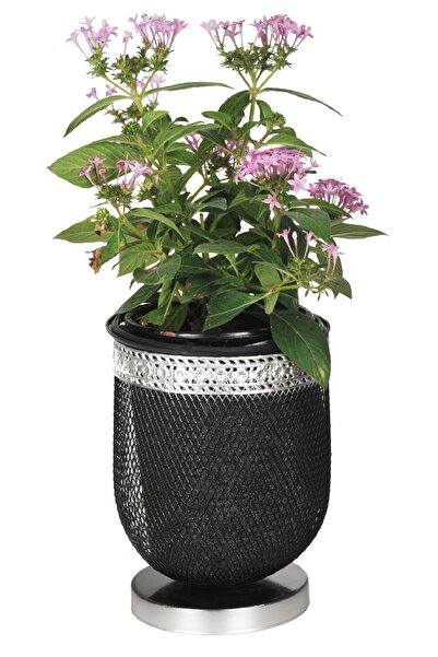 VENON Home Menekşe Saksı 15 Lik Siyah Silver