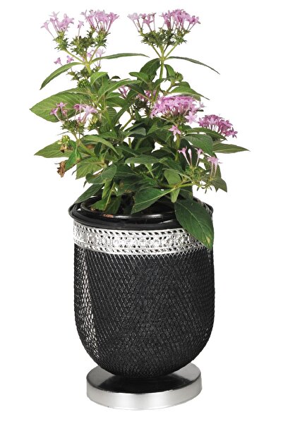 VENON Home Menekşe Saksı 15 Lik Siyah Silver