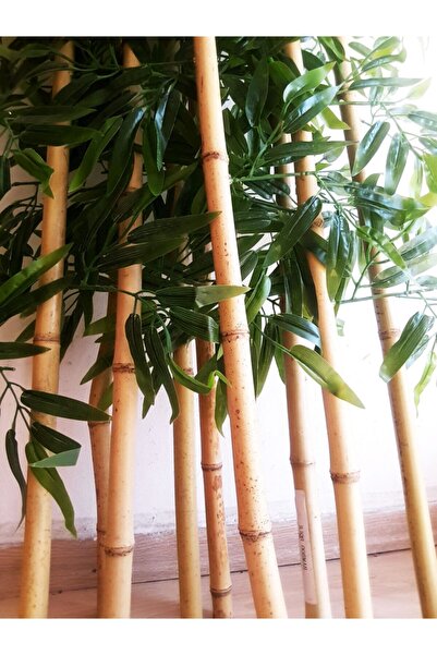 Genel Markalar Yapay Bambu Ağaç Çubukları 10 Adet 1.5 Metre Boyunda Orjinal Bamboo Çubukları Çiçek