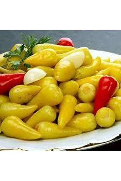 Köy Tohumları 40 Adet Biberiye Fındık Biber Turşuluk Biber Tohum Topak Tohum ...