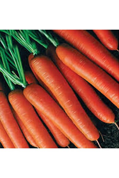 Köy Tohumları 100 Adet Tohum Geleneksel Etli Erkenci Nantes Havuç Sürpriz Hed...