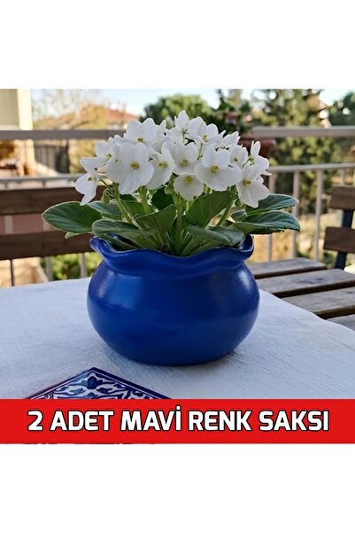 E.M.S AVM SAKSI ÇİÇEK SAKSISI MENEKŞE SAKSISI SUKULENT SAKSISI MUMLUK KIVRIML...