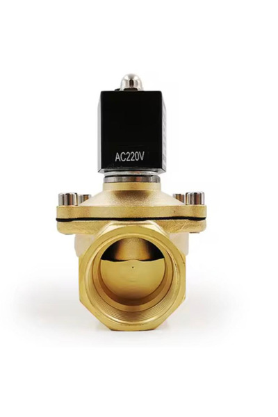 OEMS 1 inch 220v ac brass electric valve