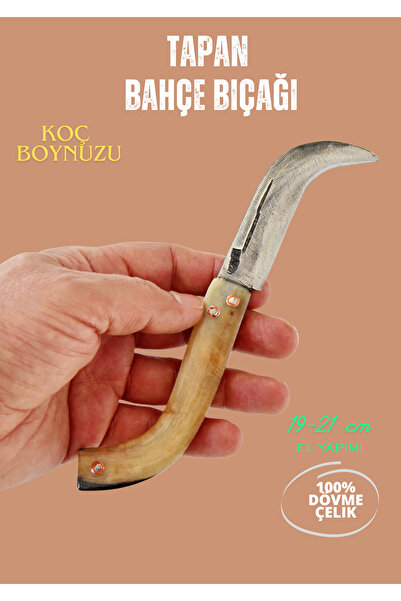 TAPAN BIÇAĞI Tapan Ters Aşı Bıçağı 19-21 cm Koç Boynuzu Kara Çelik Sarı